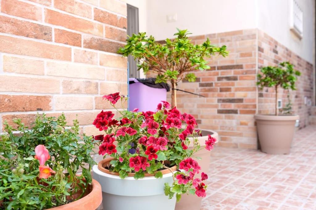 Casa Davide Apartman Torre Annunziata Kültér fotó